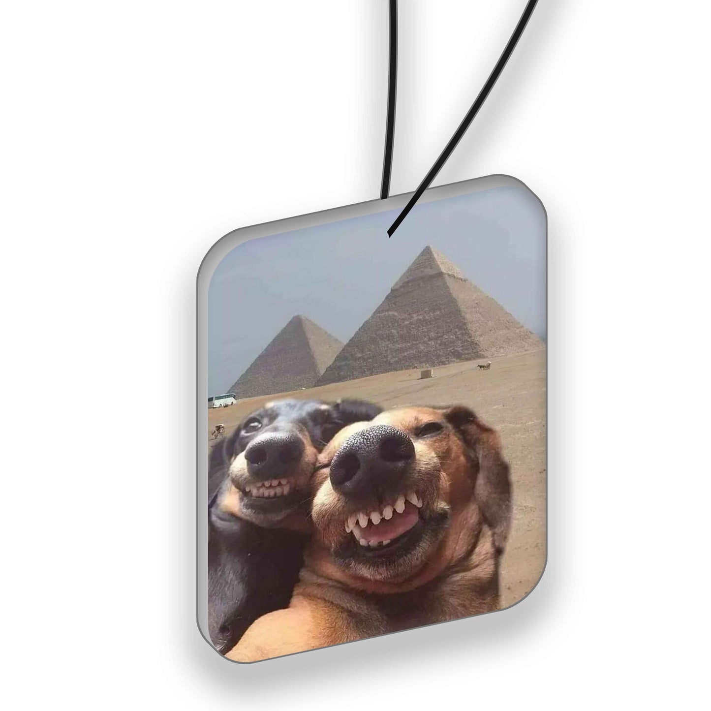 Car Air Freshener "Dogs"